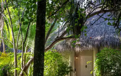 Nika Island Resort & Spa mit 87 % Empfehlungsrate Nika Island Resort & Spa in Maalhos