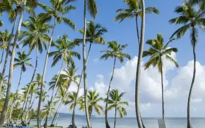 Wyndham Alltra Samana mit 88 % Empfehlungsrate Wyndham Alltra Samana in Las Galeras