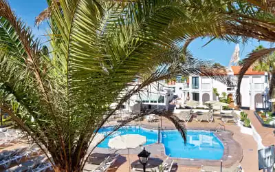 Nido del Aguila Bungalows mit 88 % Empfehlungsrate Nido del Aguila Bungalows in Puerto Rico