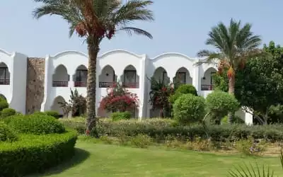 Hotel Gorgonia Beach Resort in Abu Ghusun