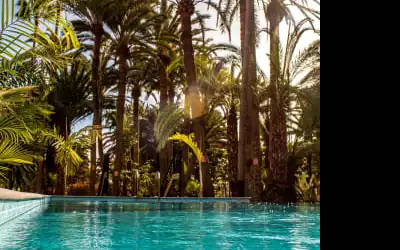 Eden Meloneras by TAM Resorts mit 91 % Empfehlungsrate Eden Meloneras by TAM Resorts in Meloneras