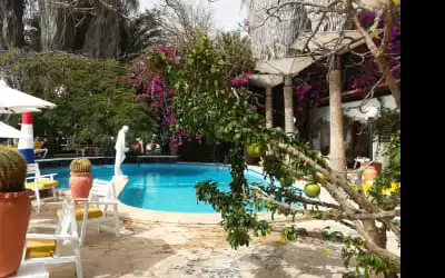 Odjo d'Água mit 97 % Empfehlungsrate Odjo d'Água in Santa Maria