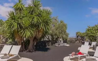 Hotel EL GRIFO in Mozaga