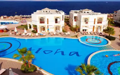 Amphoras Blu in Hadabat Umm es-Sid