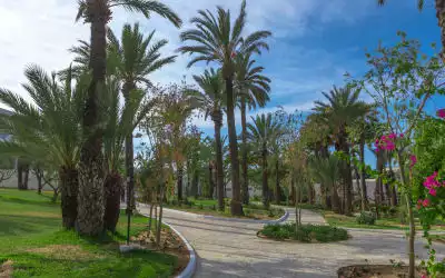 Occidental Sousse Marhaba in Sousse