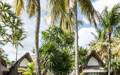 La Pirogue Mauritius mit 96 % Empfehlungsrate La Pirogue Mauritius in Flic en Flac