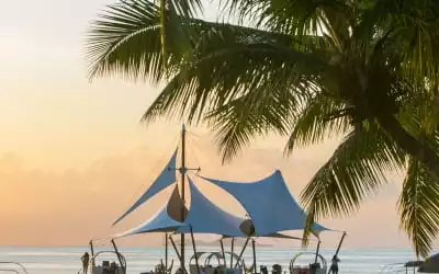 The Coco de Mer Hotel & Black Parrot Suites mit 99 % Empfehlungsrate The Coco de Mer Hotel & Black Parrot Suites in Grand Anse