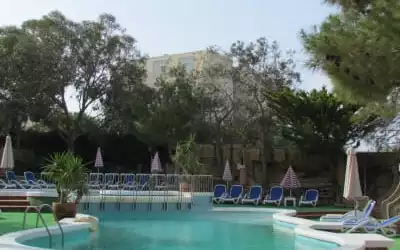 Cornucopia mit 99 % Empfehlungsrate Cornucopia in Xaghra