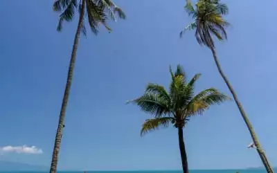 Saree Samui in Maenam