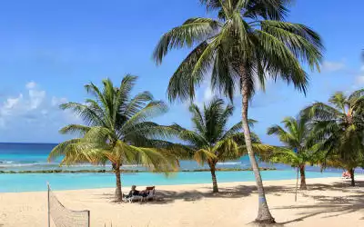 Coconut Court Beach Hotel in Hastings