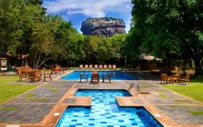 Hotel Sigiriya mit 99 % Empfehlungsrate Hotel Sigiriya in Sigiriya