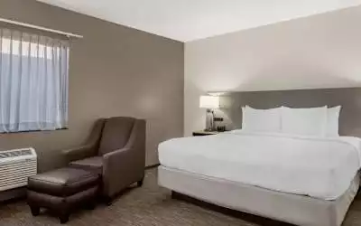 Hotel Comfort Inn Cockatoo Near LAX in Hawthorne