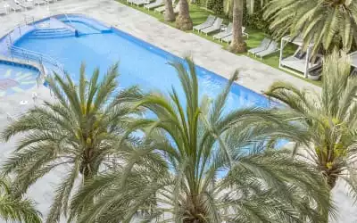 Hotel Cosmopolitan in Platja de Palma - Playa de Palma