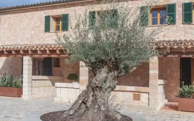 Hotel Rural Es Riquers in Porreres