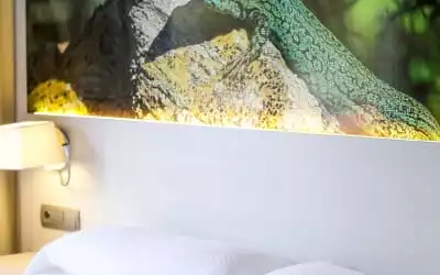 Hotel Rosales mit 97 % Empfehlungsrate Hotel Rosales in Es Pujols