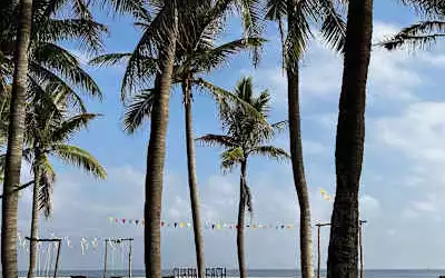 Hotel River Beach Resort in Hoi An