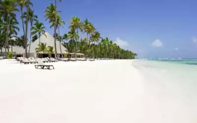 Barcelo Bavaro Beach - Adults only mit 85 % Empfehlungsrate Barcelo Bavaro Beach - Adults only in Punta Cana
