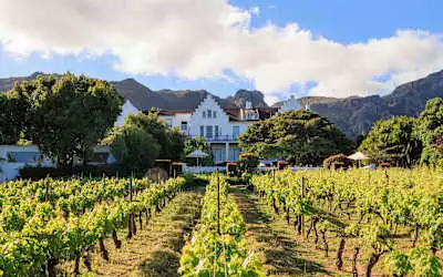 Hotel The Cellars-Hohenort in Constantia