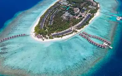 Furaveri Maldives mit 85 % Empfehlungsrate Furaveri Maldives in Meedhoo