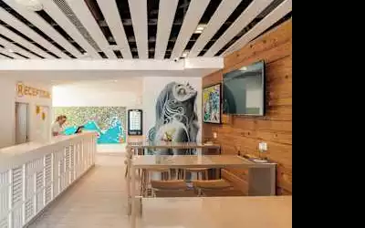 Ryans La Marina mit 100 % Empfehlungsrate Ryans La Marina in Ibiza Stadt - Eivissa