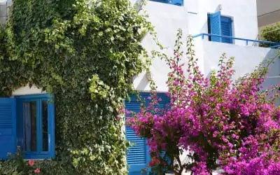 Hotel Galeana Beach in Platanes