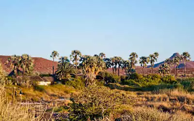 Palmwag Lodge mit 100 % Empfehlungsrate Palmwag Lodge in Palmwag