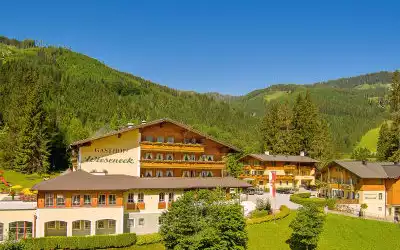 Hotel Wieseneck in Flachau
