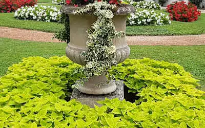 Hotel Europa Terme mit 98 % Empfehlungsrate Hotel Europa Terme in Abano Terme