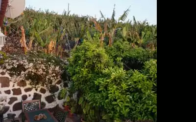 Finca Casa Silvina in El Time