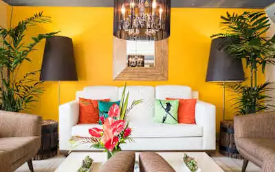 Vive Hotel mit 89 % Empfehlungsrate Vive Hotel in Waikiki Beach