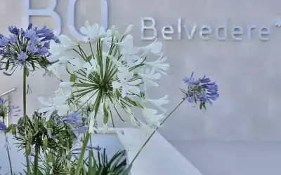 BQ Belvedere Hotel mit 93 % Empfehlungsrate BQ Belvedere Hotel in Cala Major