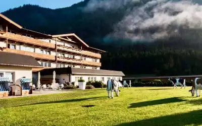 elaya hotel steinplatte in Waidring