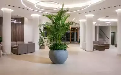 Myrina Beach Hotel mit 94 % Empfehlungsrate Myrina Beach Hotel in Kolymbia