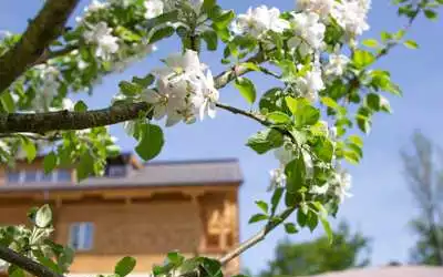 Hotel Försterhof mit 86 % Empfehlungsrate Hotel Försterhof in Sankt Wolfgang im Salzkammergut