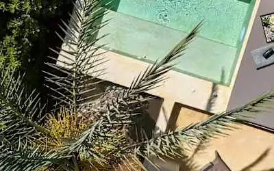 Vasia Sea Retreat mit 90 % Empfehlungsrate Vasia Sea Retreat in Sisi