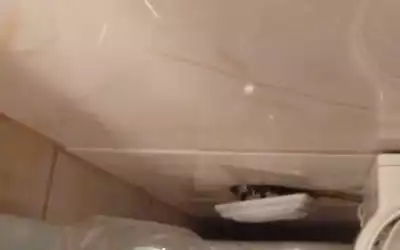 Aqua Marin Beach Resort in Manavgat - Kizilot