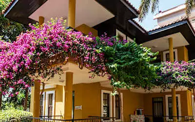 Club Dizalya in Alanya-Konakli