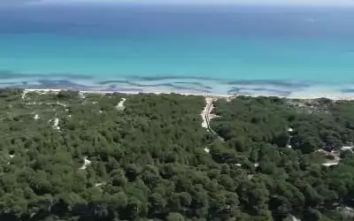 Valentin Playa de Muro in Platja de Muro - Playa de Muro