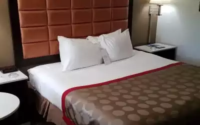 Hotel Ramada Inn Tampa FL in Temple Terrace