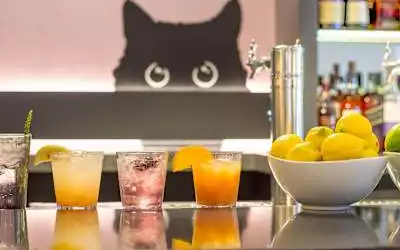 Warwick Denver in Denver