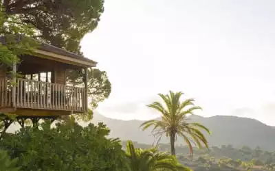 Gran Hotel Son Net in Puigpunyent - Puigpuñent