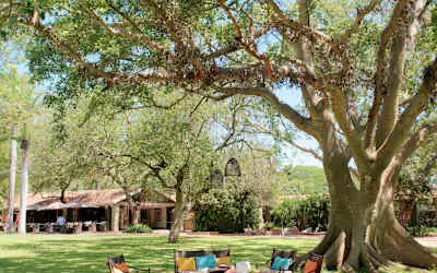 Hotel Ghost Mountain Inn mit 100 % Empfehlungsrate Hotel Ghost Mountain Inn in Mkuze