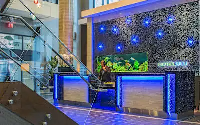 BLU Vancouver mit 96 % Empfehlungsrate BLU Vancouver in Vancouver