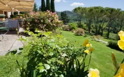 Hotel Castello di Spaltenna mit 100 % Empfehlungsrate Hotel Castello di Spaltenna in Gaiole