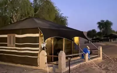 1000 Nights Camp mit 98 % Empfehlungsrate 1000 Nights Camp in Al Hawiyah