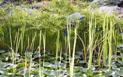 Hotel San Giovanni in Porto Vecchio
