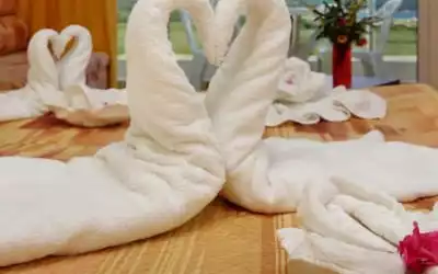 Hotel Plamena Palace in Primorsko