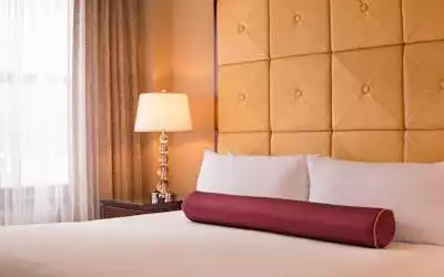 Millennium Knickerbocker Hotel Chicago mit 100 % Empfehlungsrate Millennium Knickerbocker Hotel Chicago in Chicago