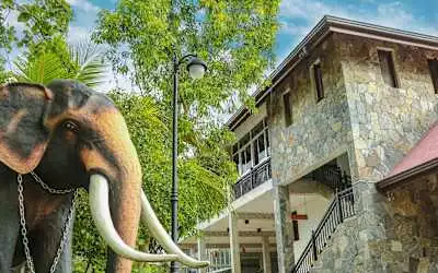 Oak Ray Elephant Lake mit 99 % Empfehlungsrate Oak Ray Elephant Lake in Dambulla