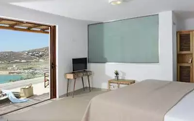 Albatros in Panormos